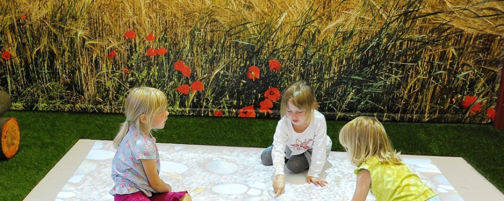 Sisehoovi sünnipäevapeo loosimine