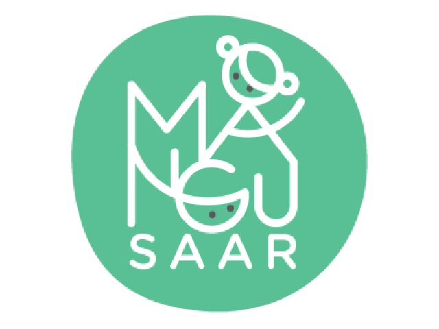 Mängu Saar Kopli